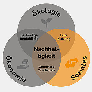 Friedrich Hippe - CSR-Strategie